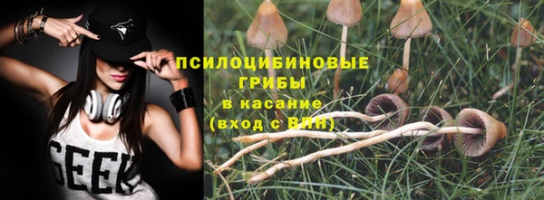 бутират Шарыпово