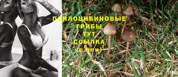 спайс Переславль-Залесский