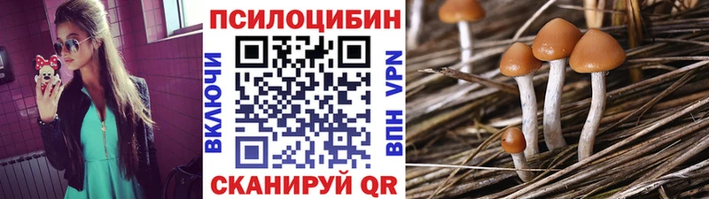 Галлюциногенные грибы GOLDEN TEACHER  Краснознаменск 