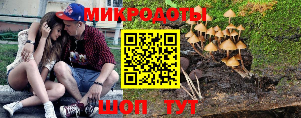 Псилоцибиновые грибы Cubensis  Краснознаменск  Псилоцибиновые грибы Psilocybine cubensis 