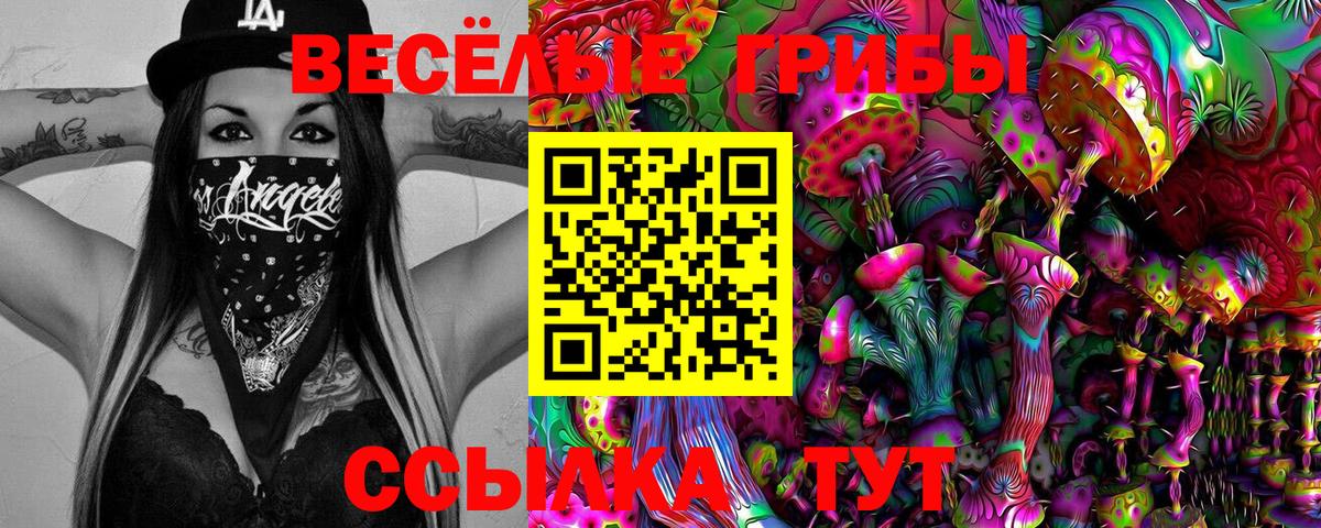 Псилоцибиновые грибы GOLDEN TEACHER  Вход с VPN  Краснознаменск 