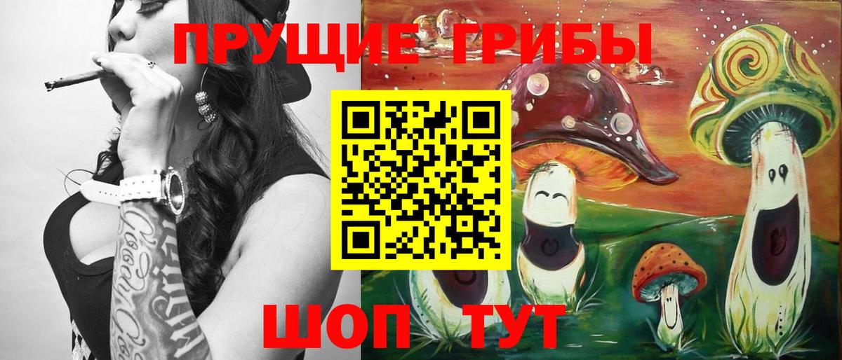 Псилоцибиновые грибы Psilocybe Краснознаменск